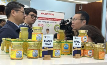 Chất lượng yến sào và bài toán chống hàng giả