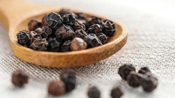 Giá tiêu hôm nay 19/9: Thị trường ổn định, cao nhất 150.000 đồng/kg tại Đắk Lắk