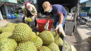 Siết quản lý để bảo đảm chất lượng nông sản xuất khẩu