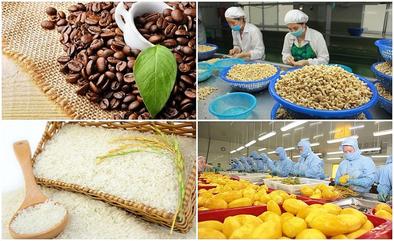 Siết quản lý để bảo đảm chất lượng nông sản xuất khẩu