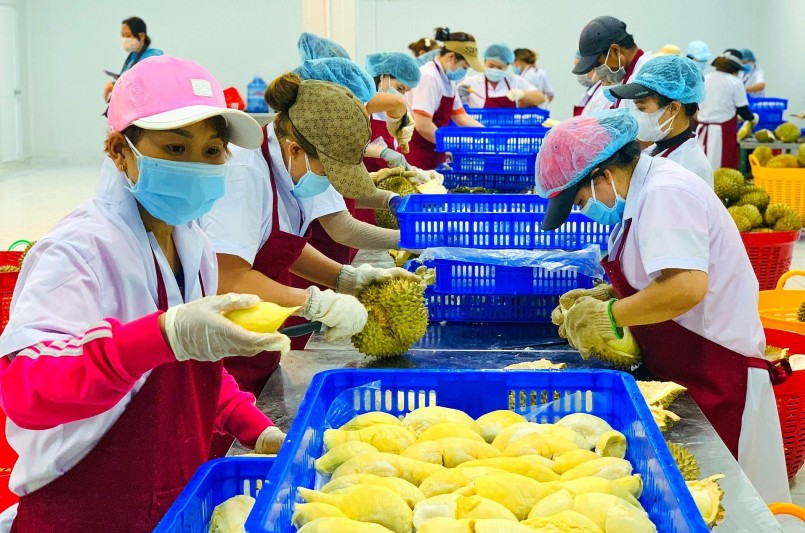 Rau quả Việt “tăng tốc”, xuất khẩu chạm mốc gần 1,3 tỉ USD