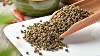 Giá hồ tiêu hôm nay 22/9/2025: Thị trường đi ngang chờ cú hích mới, xuất khẩu là điểm sáng