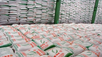 Bộ Công Thương phân giao hạn ngạch nhập khẩu đường qua đấu giá năm 2025