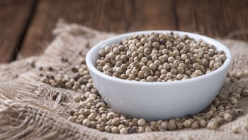 Giá hồ tiêu hôm nay 23/9: Thị trường đi ngang, kỳ vọng bứt phá từ xuất khẩu