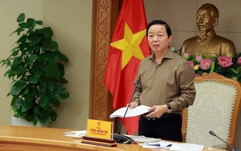 Nông nghiệp Việt Nam: Tiên phong chuyển đổi, phát triển đa giá trị và bền vững