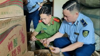 Lào Cai: Thu giữ hơn 6.000 sản phẩm bánh kẹo không rõ nguồn gốc