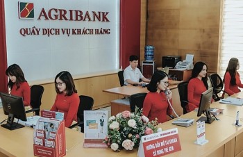 Mở rộng quy mô tín dụng nông lâm thủy sản lên 185.000 tỷ đồng: Động lực phát triển cho doanh nghiệp