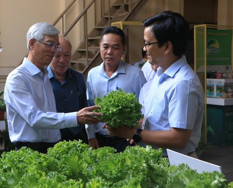 Thị trường thiếu rau sạch, nguyên nhân thật sự là gì?