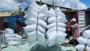 Xuất khẩu nông sản Việt Nam bứt phá trong hội nhập toàn cầu