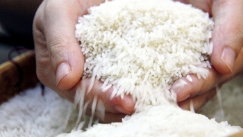 Định vị thương hiệu gạo Việt: Học gì từ cách làm của Thái Lan và Ấn Độ?