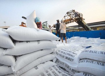 Bộ Công Thương lấy ý kiến dự thảo nghị định xuất khẩu gạo