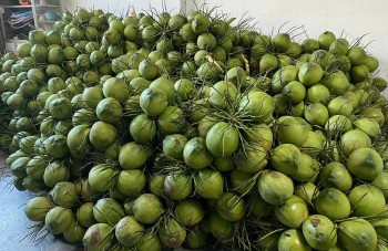 Ngành rau quả vượt khó, hứa hẹn cán mốc 8 tỉ USD 2025