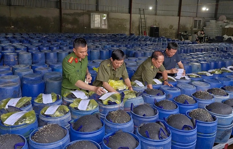 Vụ 3.500 tấn giá đỗ \'ngậm\' chất cấm ở TP Vinh, Nghệ An. Ảnh: CACC Vụ 3.500 tấn giá đỗ \'ngậm\' chất cấm ở TP Vinh, Nghệ An. Ảnh: CACC