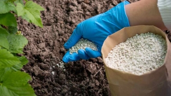 Giá phân bón dự báo hạ nhiệt từ 2026, thị trường bước vào chu kỳ điều chỉnh