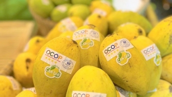 Từ OCOP đến Thương hiệu Quốc gia: "Công thức" toàn diện để nâng tầm giá trị nông sản Việt