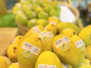 Từ OCOP đến Thương hiệu Quốc gia: "Công thức" toàn diện để nâng tầm giá trị nông sản Việt