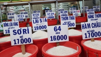 Việt Nam chi 1,5 tỉ USD nhập khẩu gạo, cảnh báo hay cơ hội?
