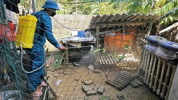 Thanh Hóa chủ động phòng chống dịch bệnh sau mưa bão