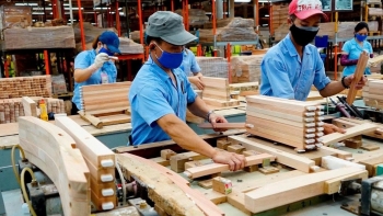 Thuế Mỹ siết chặt, ngành gỗ Việt Nam tìm lối đi nào?