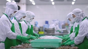 Ngành thủy sản Việt Nam: Vượt sóng dữ, tìm hướng bứt tốc