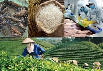 Xuất khẩu nông, lâm, thủy sản Việt Nam hướng tới kỷ lục 70 tỷ USD năm 2025