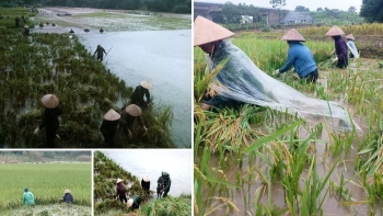 Vượt qua thiên tai, nông nghiệp vẫn giữ nhịp sản xuất ổn định