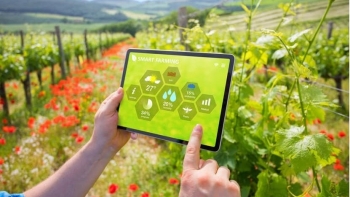 Nông nghiệp công nghệ cao: Khi thương hiệu Việt bước vào chuỗi giá trị toàn cầu