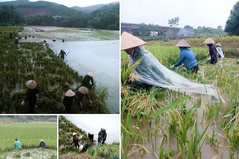Ảnh: laocai.gov.vn