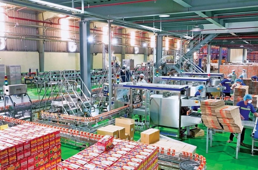 IDP – Chủ thương hiệu sữa Kun bị phạt 185 triệu đồng giữa lúc báo lỗ quý đầu tiên kể từ khi lên sàn