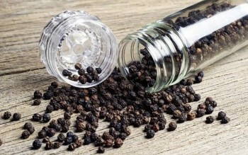 Giá hồ tiêu hôm nay 8/10: Chững lại ở mức 147.000 đồng/kg