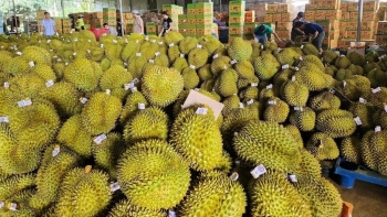 Trung Quốc chi mạnh hơn 1 tỷ USD nhập rau quả Việt