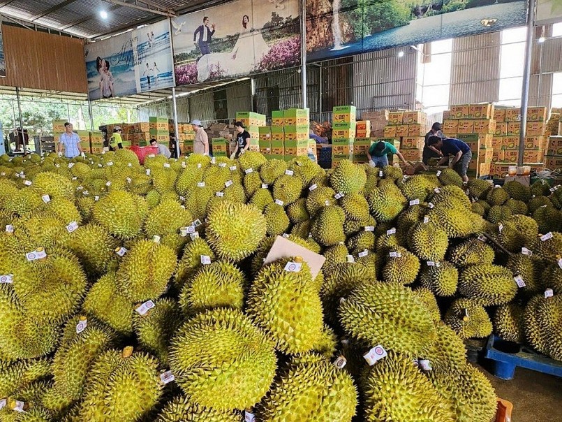 Trung Quốc chi mạnh hơn 1 tỷ USD nhập rau quả Việt Trung Quốc chi mạnh hơn 1 tỷ USD nhập rau quả Việt