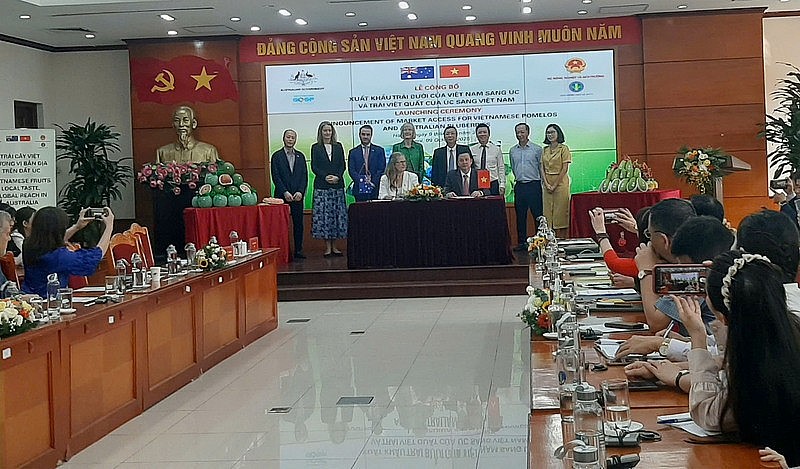 Lễ công bố xuất khẩu trái bưởi của Việt Nam sang Australia và trái việt quất của Australia sang Việt Nam. Ảnh: N.H