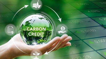 Xây dựng bộ tiêu chuẩn cho tín chỉ carbon rừng: Bước đi chiến lược phát triển thị trường carbon Việt Nam