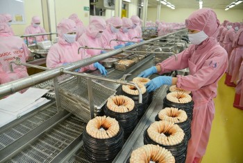 Thủy sản Việt Nam tận dụng cơ hội, vươn ra thế giới