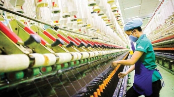 Doanh nghiệp Việt trước cơ hội mở rộng thị trường