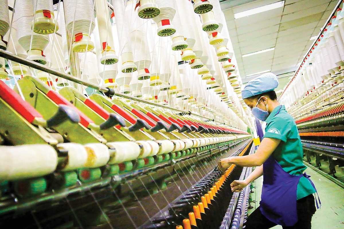 Doanh nghiệp cần chú trọng chuyển từ xuất khẩu hàng thô, sơ chế sang sản phẩm chế biến sâu, sản phẩm giá trị gia tăng cao, đẩy mạnh sản phẩm xanh, hữu cơ, bền vững,....