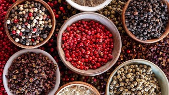 Giá hồ tiêu hôm nay 12/10: Tiếp đà giảm mạnh, nông dân lo ngại áp lực cung – cầu