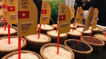 Philippines kéo dài lệnh cấm nhập gạo: Gạo Việt gặp khó trong vụ xuất khẩu 2025