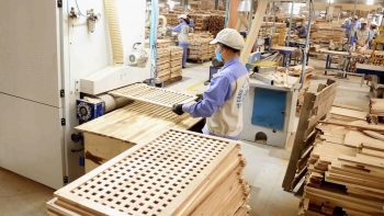 Doanh nghiệp gỗ kiến nghị tháo gỡ vướng mắc hoàn thuế GTGT