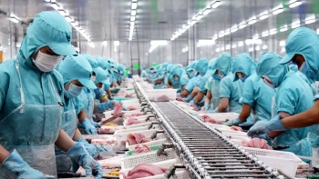 Xuất khẩu Việt Nam 2025: Doanh nghiệp tạo dựng sức bật mới