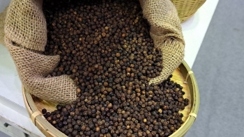 Giá hồ tiêu tăng vọt, Việt Nam thu về gần 1,3 tỷ USD