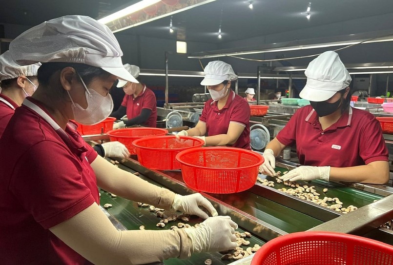 Chi phí logistics và tỷ giá biến động vẫn là những yếu tố ảnh hưởng lớn đến hiệu quả xuất khẩu