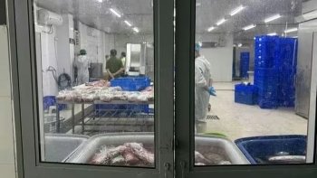 Hà Nội triệt phá đường dây “hô biến” thịt trâu thành thịt bò Wagyu