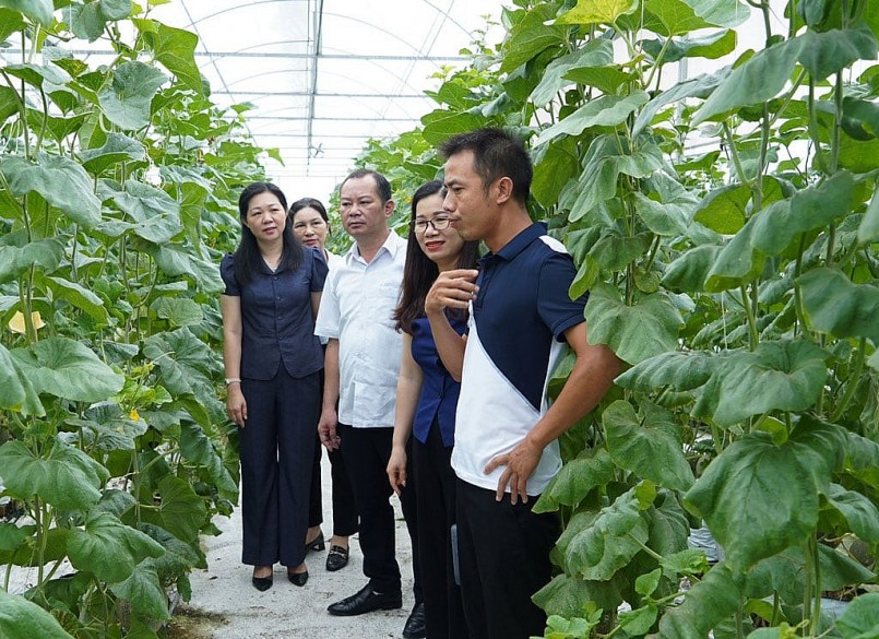 Mô hình trồng dưa công nghệ cao ở phường Cách Bi, thị xã Quế Võ. Ảnh: H.N.D