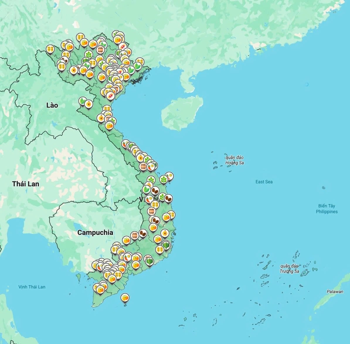 Bản đồ nông sản số giúp khách tham quan dễ dàng tra cứu đặc sản của 34 tỉnh, thành phố.