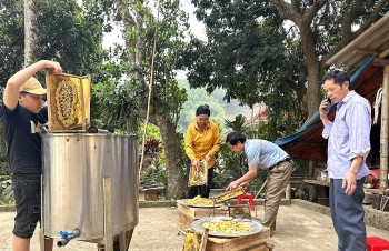 Hành trình biến vùng đất "chó ăn đá, gà ăn sỏi" thành miền quê trù phú