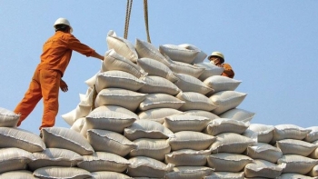 Xuất khẩu gạo sụt giảm vì Philippines, doanh nghiệp Việt Nam xoay sở ra sao?