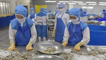 Thủy sản Việt Nam và cơ hội mở rộng thị trường EU