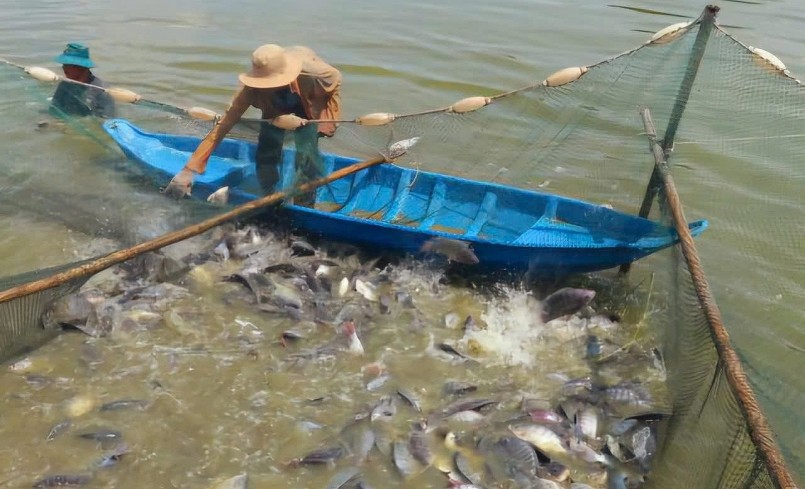 . Ảnh: L.X.C . Ảnh: L.X.C